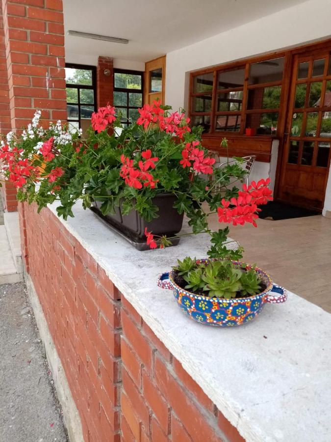 Apartman Dunja I Milos Mokra Gora Luaran gambar