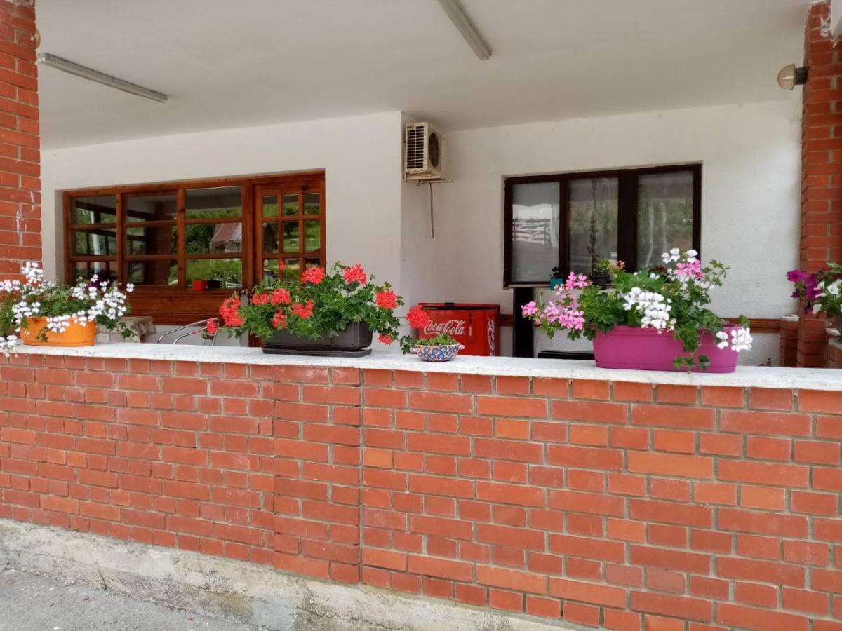 Apartman Dunja I Milos Mokra Gora Luaran gambar