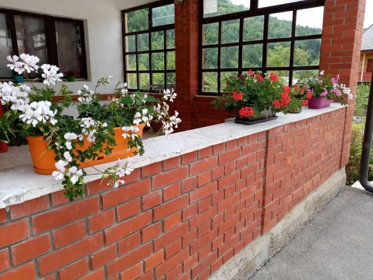 Apartman Dunja I Milos Mokra Gora Luaran gambar