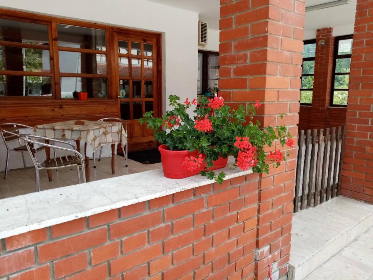 Apartman Dunja I Milos Mokra Gora Luaran gambar